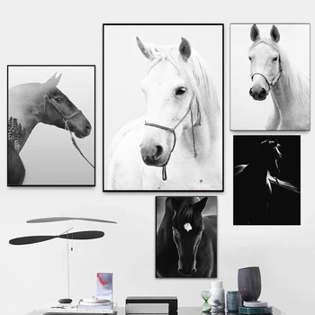 שחור ולבן בד אמנות קיר חיה סוס פוסטרים הדפסים בצבע הציור המודרני תמונות עבור הסלון עיצוב חדר השינה